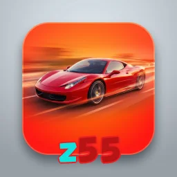 z55
